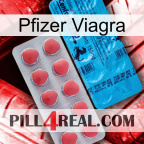 Pfizer Viagra new14